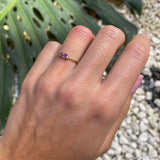 ANILLO BARRETA AMATISTA