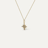 COLGANTE ESTRELLA POLAR