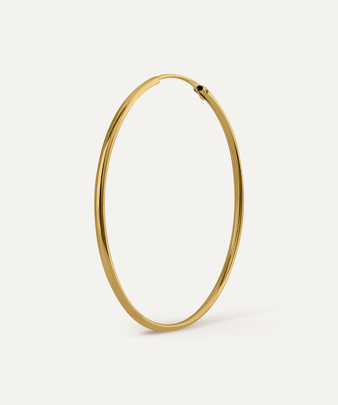 Imagen de diapositiva