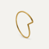 ANILLO ASIMÉTRICO
