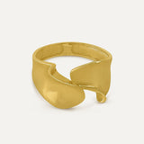 ANILLO AHISITO