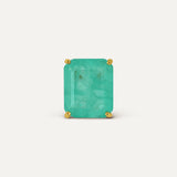 PAIR AMAZONAS EARRINGS