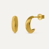 PAR PENDIENTE GUACAMAYO ORO